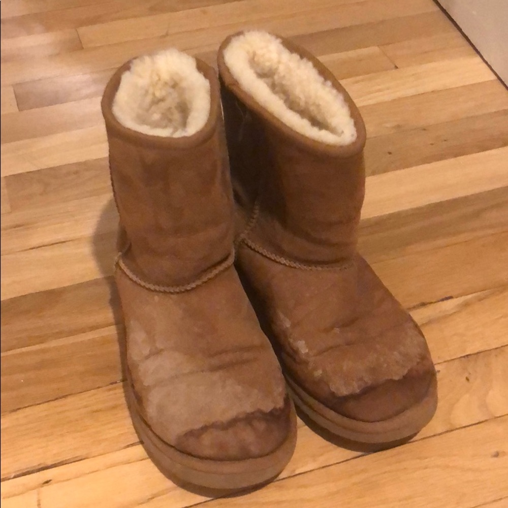 Uggs short chestnut boots